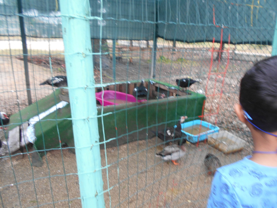 DSCN0848.JPG DSCN0848.JPG