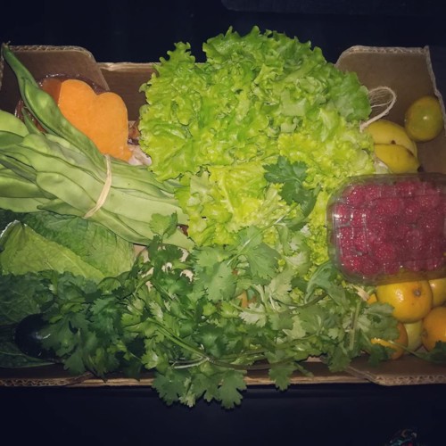 44449722_1231172250355867_4995617457163993088_n.jp 44449722_1231172250355867_4995617457163993088_n.jp