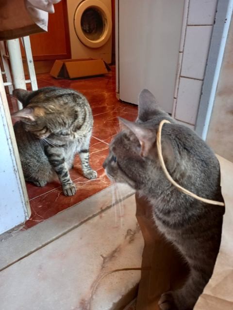 240578844_322547726323472_2589289781880383482_n.jp