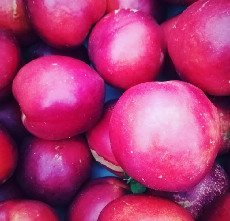 65268521_1397730220366735_6109463774513594368_n.jp 65268521_1397730220366735_6109463774513594368_n.jp