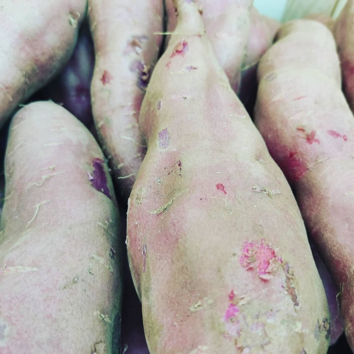 118454673_1791306971009056_6718259237617491081_o.j