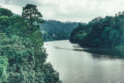 22195276_10214579286705956_7305347000460997393_n.j