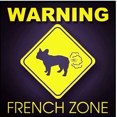 Bulldog.jpg Bulldog.jpg