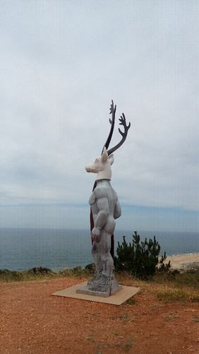 P_20170624_125839.jpg P_20170624_125839.jpg