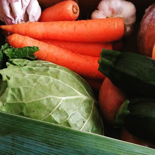 17313096_1014551835312418_8965551867404746752_n.jp