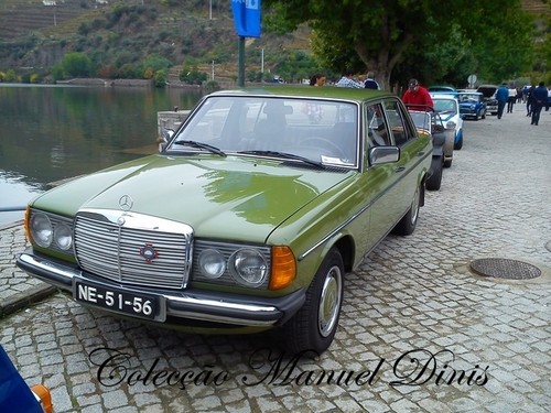 Rota do Moscatel Favaios 2015 (274).jpg