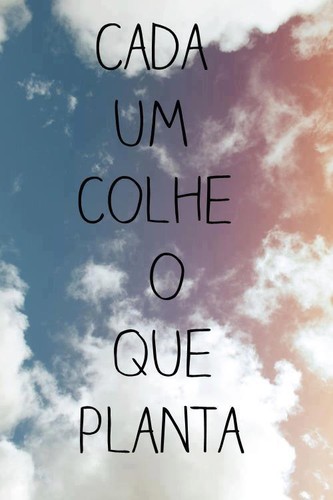 Cada um colhe o que planta
