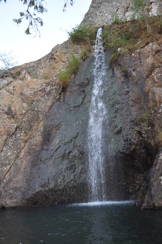 DSC_0352.JPG DSC_0352.JPG