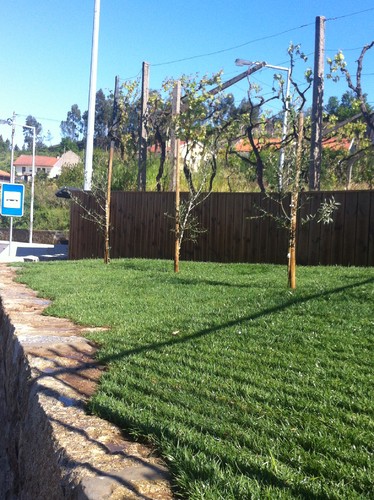 2016-05-03 16.57.07.jpg