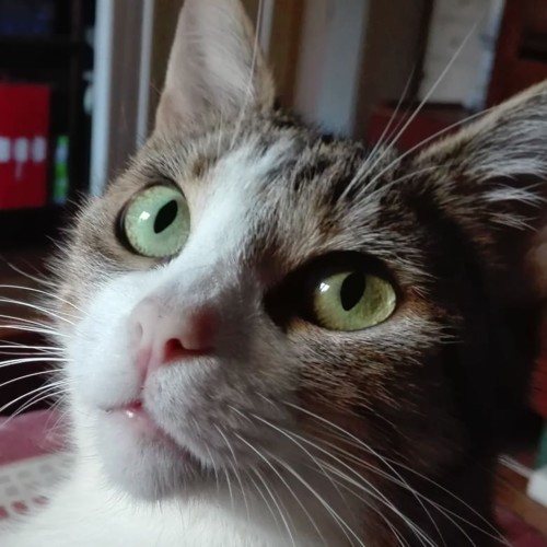 35671668_1509679902477291_7877911241472081920_n.jp