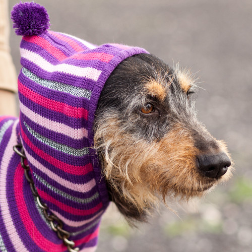 Jolie_entre 9.49eur e 14.99eur.jpg