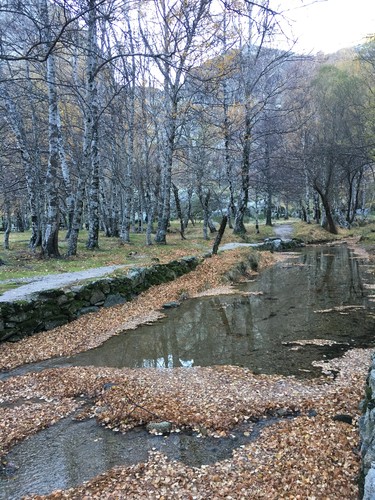 Photo 28-11-15, 15 51 37.jpg