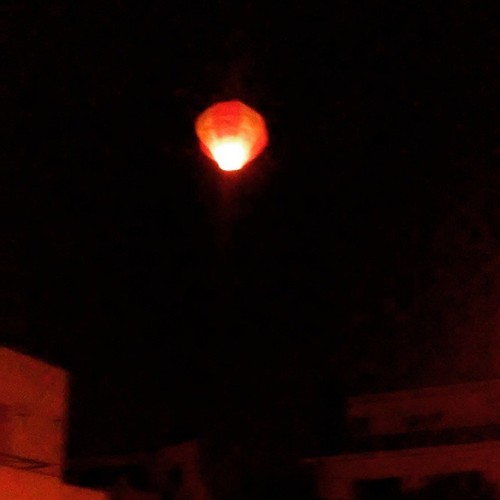 1977332_10200597312971602_6495683856875538269_n.jp