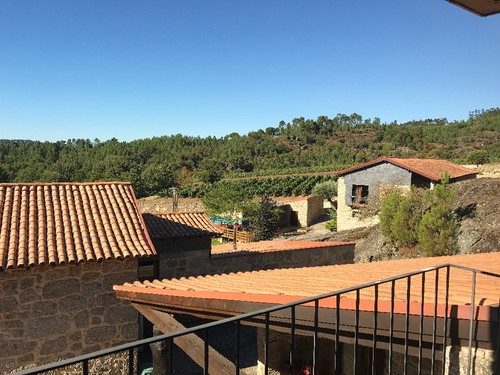 IMG_0998.JPG IMG_0998.JPG