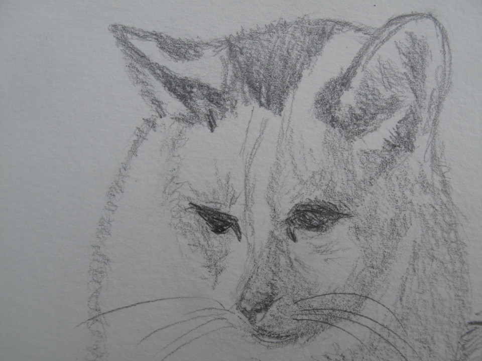 IMG_7034.JPG IMG_7034.JPG