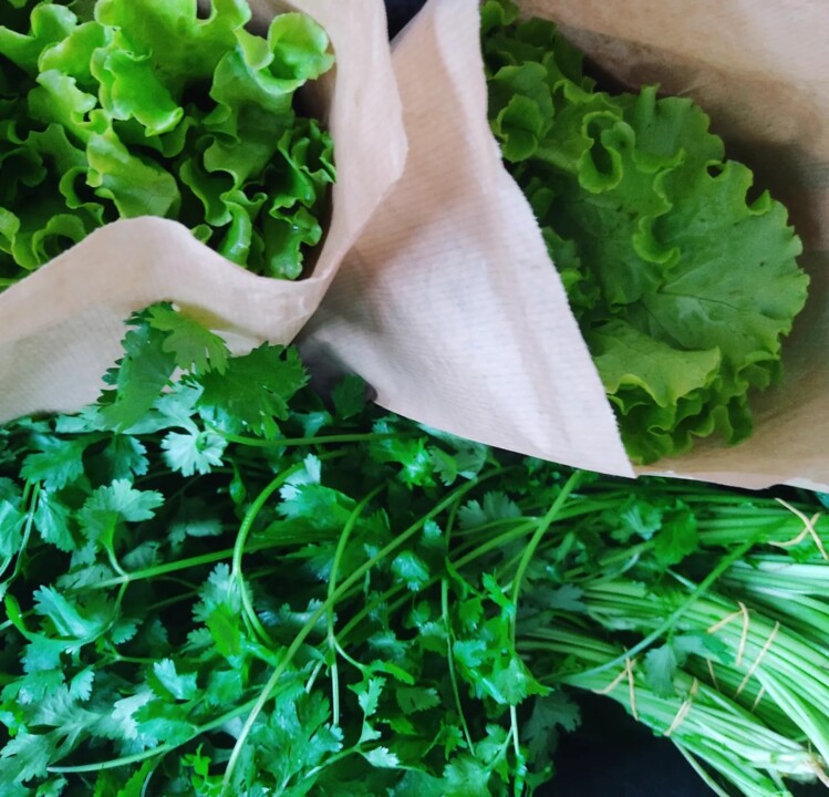 401740753_723551159802297_4578644062030480754_n.jp