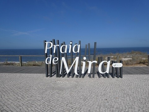 19a_Manhã_Pela_Praia_de_Mira (23).JPG