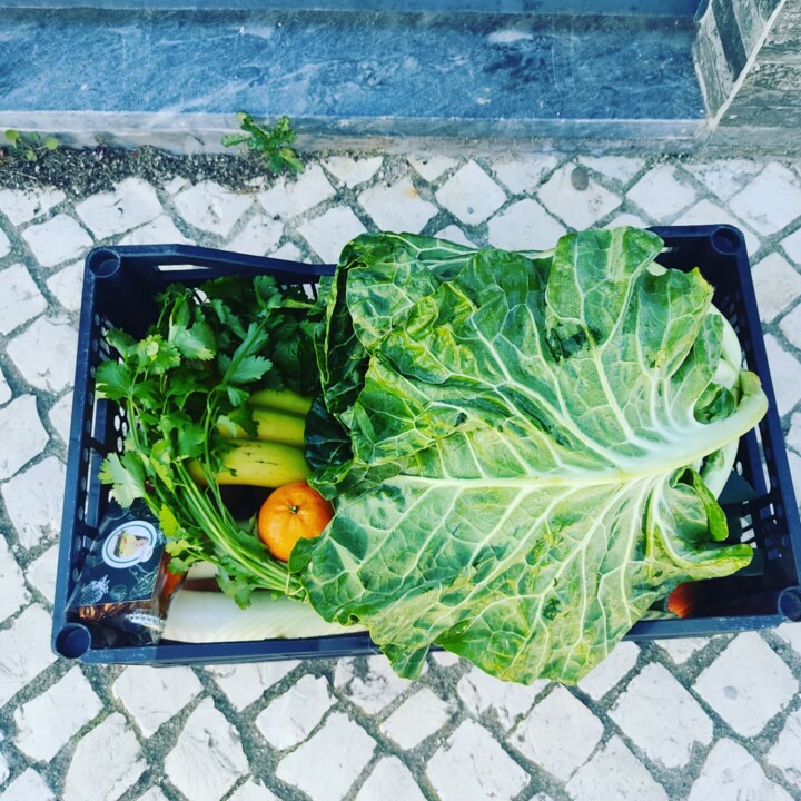 471254903_985409163616494_3332859691390667036_n.jp