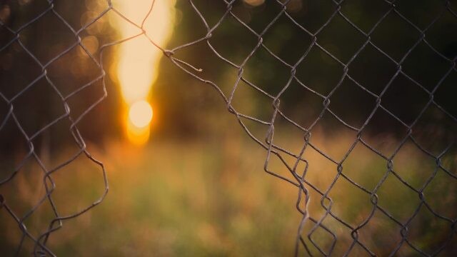 background-3332559_1920-378n3ka14wtjz97qqyn4e8@2x.