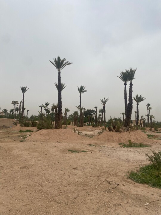 Imagem WhatsApp 2024-04-10 às 15.51.13_c69b09e5.j