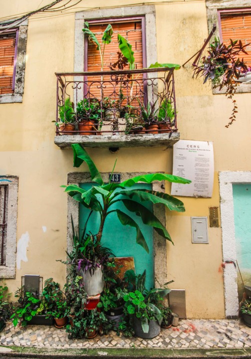 rua da silva 15.jpg rua da silva 15.jpg