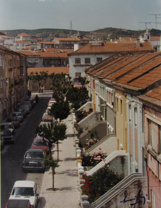 IMG_5719.jpg IMG_5719.jpg