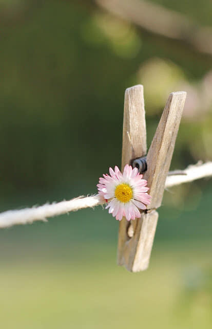 90387984_2759217980840723_6857884035117481984_n.jp