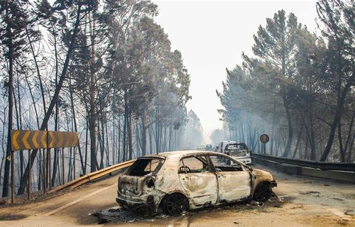 In. JSF  Global Imagens. jpg