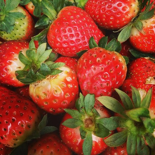 16708712_845153845624378_2834293676680916600_n.jpg 16708712_845153845624378_2834293676680916600_n.jpg