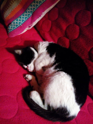 IMG_20160219_000949.jpg IMG_20160219_000949.jpg