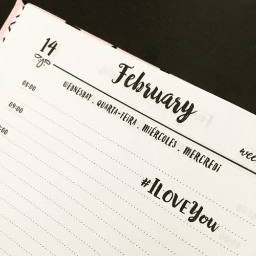 IMG_9599.JPG IMG_9599.JPG