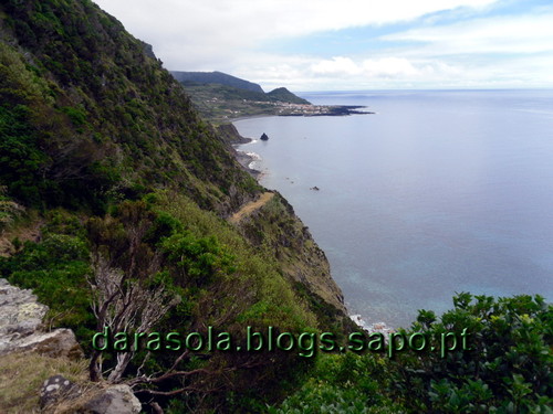 Azores_flores_faja_grande_13.JPG