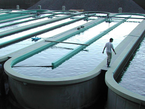 Aquacultura.jpg