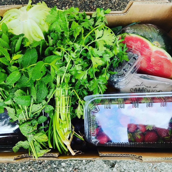 202785550_2050283855111365_8170074629596991989_n.j 202785550_2050283855111365_8170074629596991989_n.j