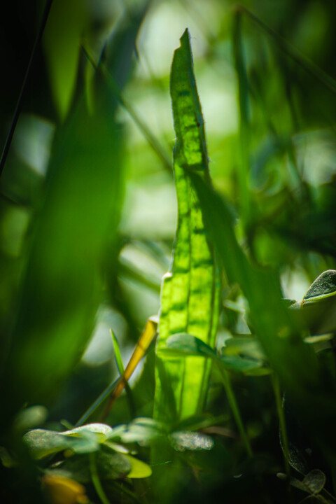 montachique marco 8.jpg