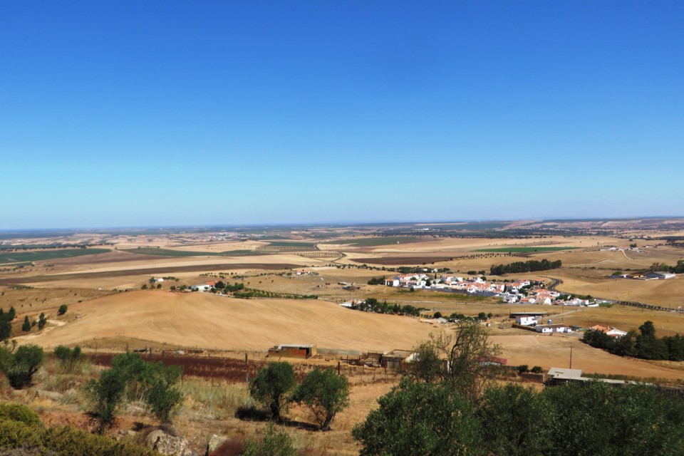 IMG_3993.JPG IMG_3993.JPG