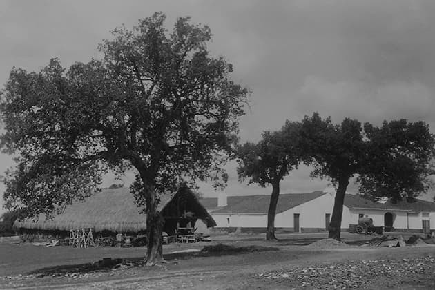 herdade mouchão.jpg