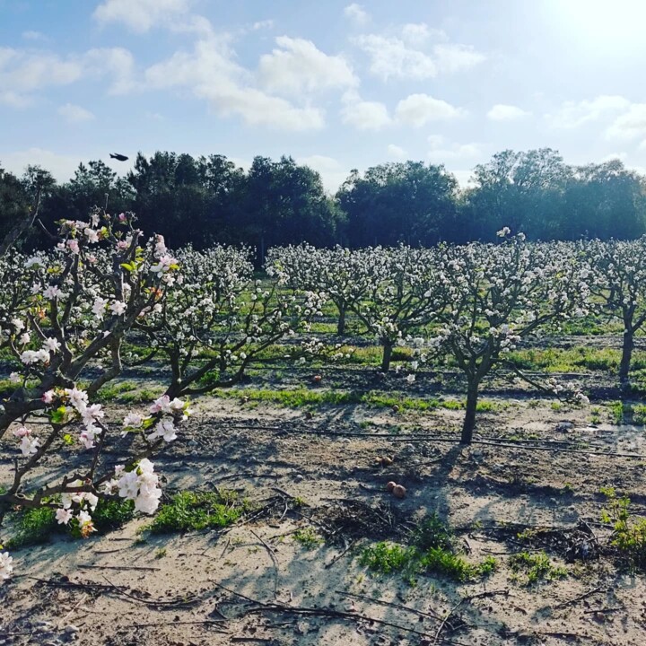 491460568_18474719503066958_3485386546300789157_n.