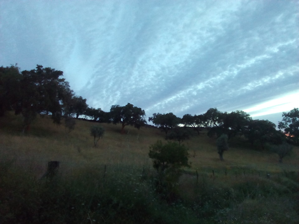 Alentejo entardecer Original DAPL 2016.jpg