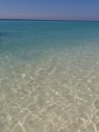 20190209_111607.jpg 20190209_111607.jpg