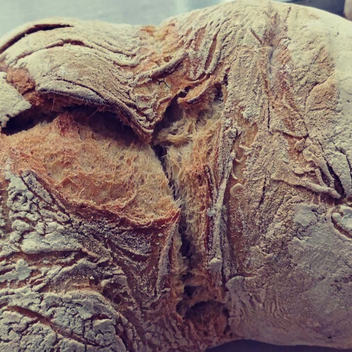 466798021_957548283069249_9173266229935110133_n.jp