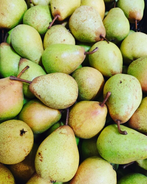 300774616_2393418697464544_8291518743730535022_n.j