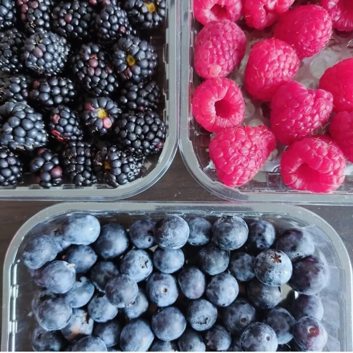 521647903_18490063540066958_8529242118947407222_n.