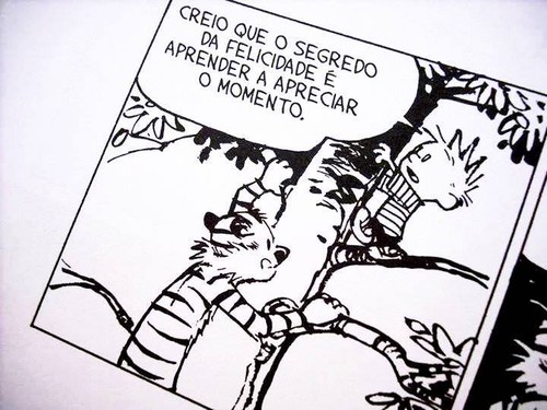 osegredo da felicidade.jpg