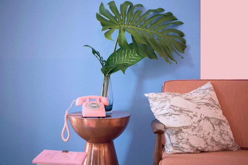 12321546_10153777912592629_4938014713344337145_n.j