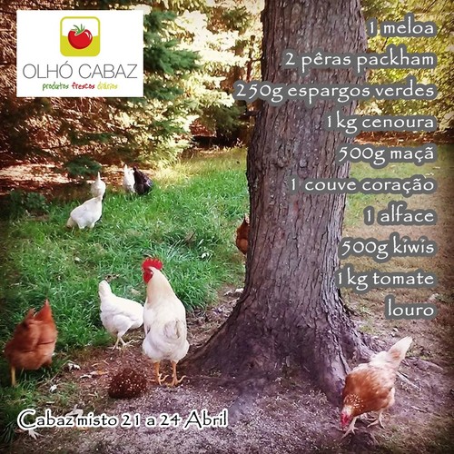 Cabaz Misto 21a24Abril.jpg