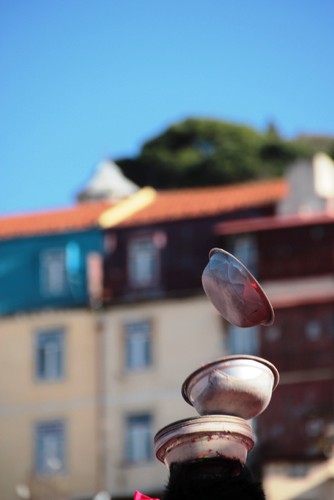 IMG_6235 Ano da Cabra 2015