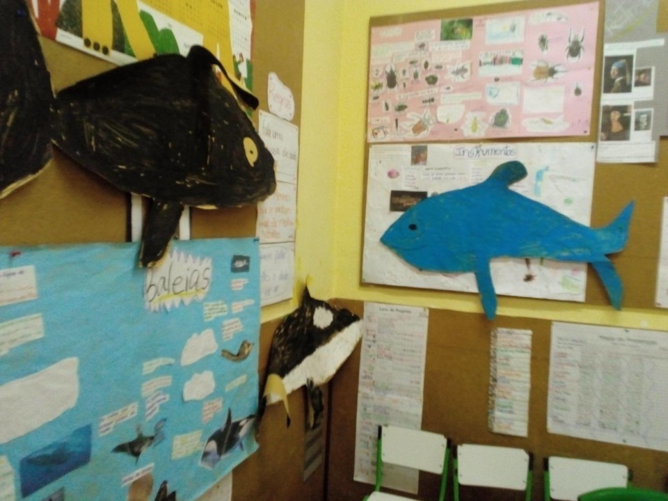 119708579_2778468115717906_6605138680706102790_n.j