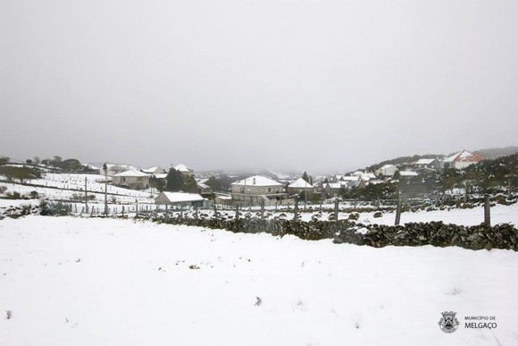 48 b2 - neve (3).jpeg