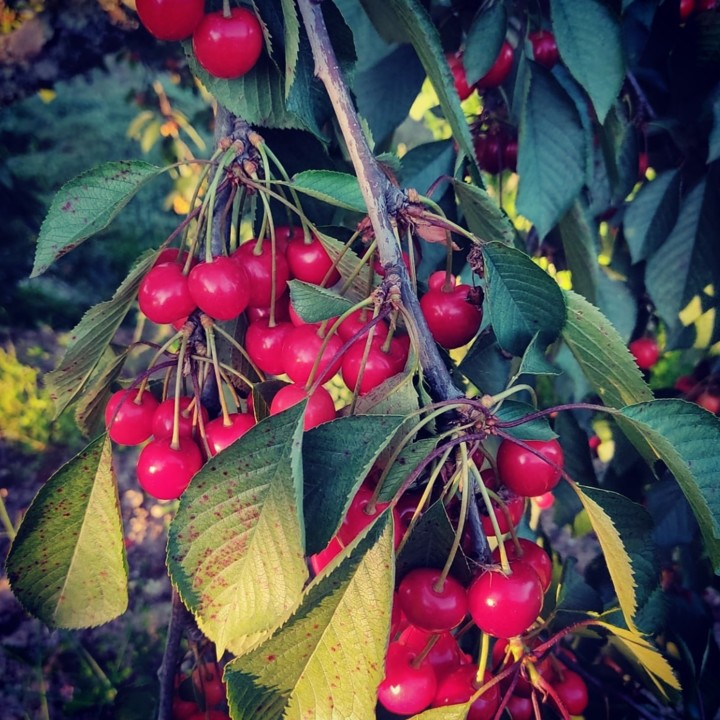 198218113_2042153745924376_3362023925334222614_n.j 198218113_2042153745924376_3362023925334222614_n.j